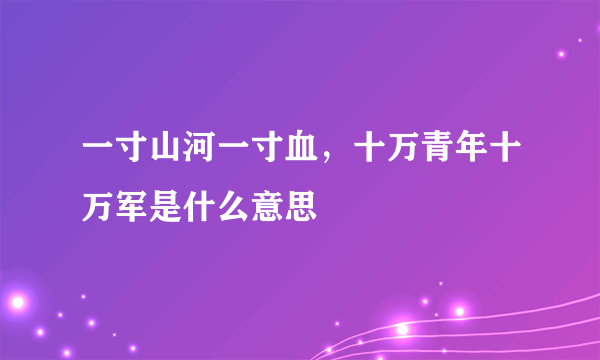 一寸山河一寸血，十万青年十万军是什么意思