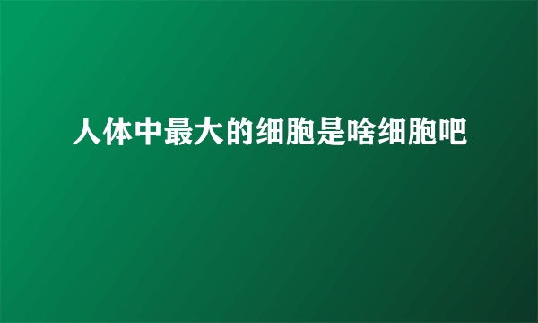 人体中最大的细胞是啥细胞吧