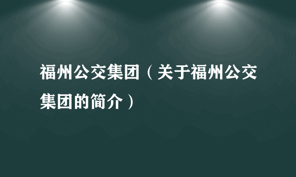 福州公交集团（关于福州公交集团的简介）