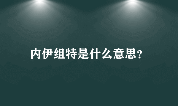 内伊组特是什么意思？