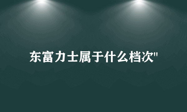 东富力士属于什么档次