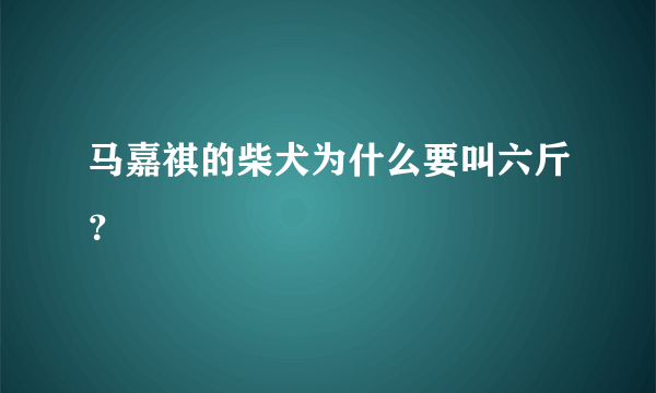 马嘉祺的柴犬为什么要叫六斤？