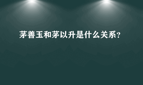 茅善玉和茅以升是什么关系？