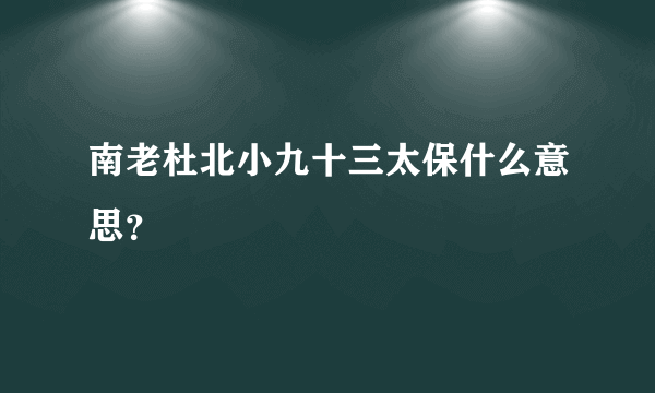 南老杜北小九十三太保什么意思？