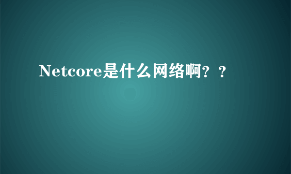 Netcore是什么网络啊？？