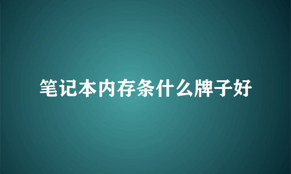 笔记本内存条什么牌子好