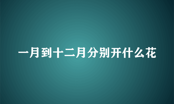 一月到十二月分别开什么花