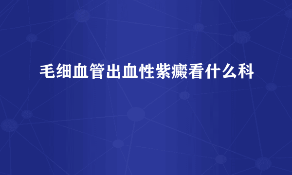 毛细血管出血性紫癜看什么科