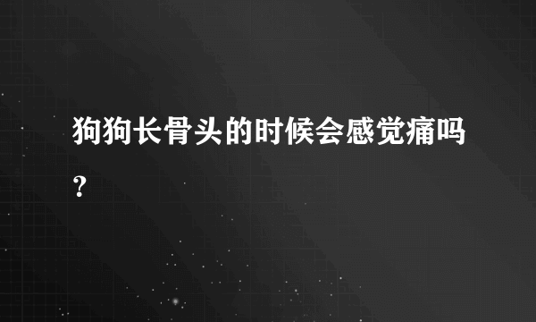 狗狗长骨头的时候会感觉痛吗？