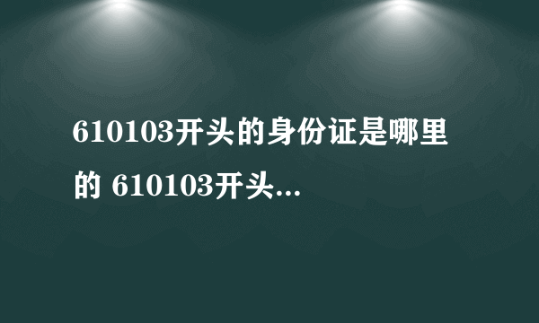 610103开头的身份证是哪里的 610103开头的身份证的简介