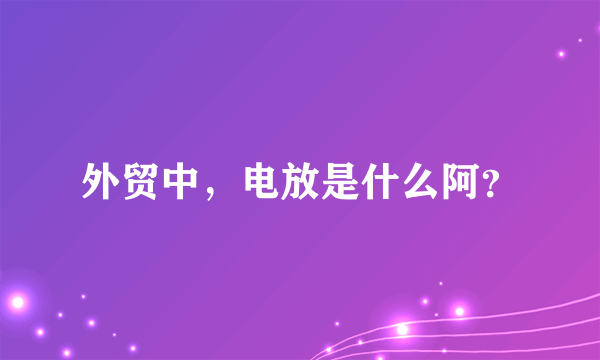 外贸中，电放是什么阿？