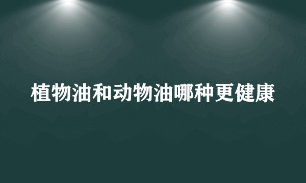 植物油和动物油哪种更健康