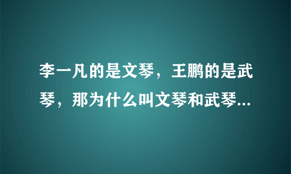 李一凡的是文琴，王鹏的是武琴，那为什么叫文琴和武琴呢，区别是什么？