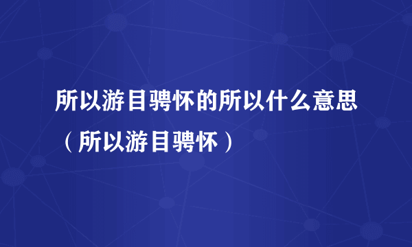 所以游目骋怀的所以什么意思（所以游目骋怀）