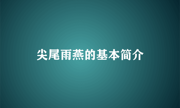 尖尾雨燕的基本简介