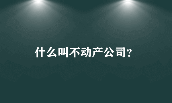 什么叫不动产公司？