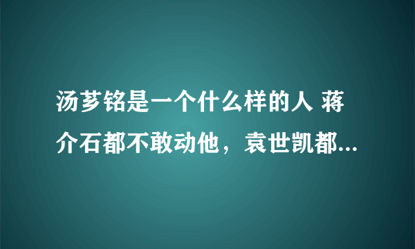 汤芗铭是一个什么样的人 蒋介石都不敢动他，袁世凯都拿他没办法