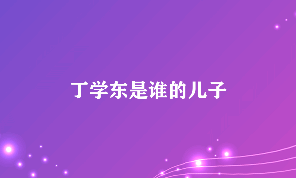 丁学东是谁的儿子