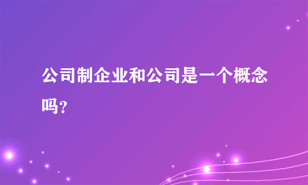 公司制企业和公司是一个概念吗？