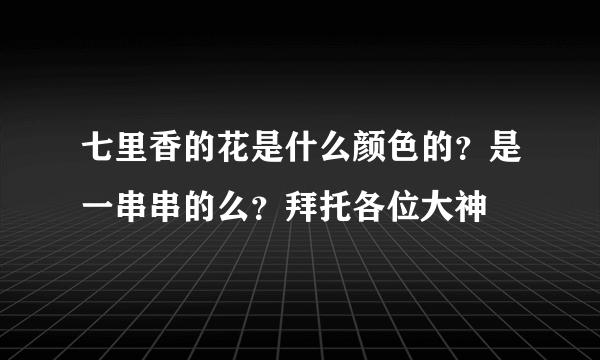 七里香的花是什么颜色的？是一串串的么？拜托各位大神