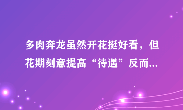 多肉奔龙虽然开花挺好看，但花期刻意提高“待遇”反而容易烂根