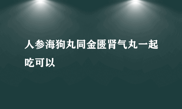 人参海狗丸同金匮肾气丸一起吃可以