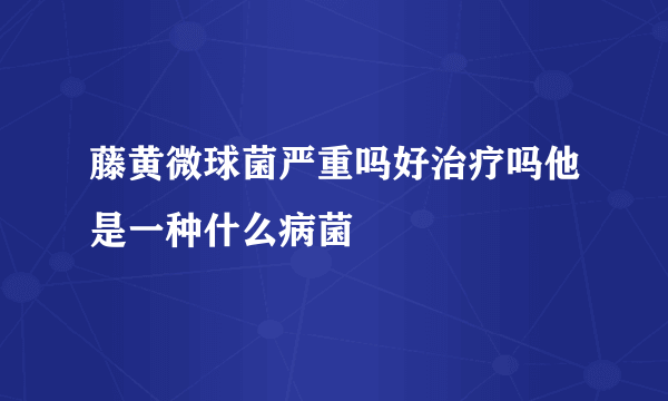 藤黄微球菌严重吗好治疗吗他是一种什么病菌