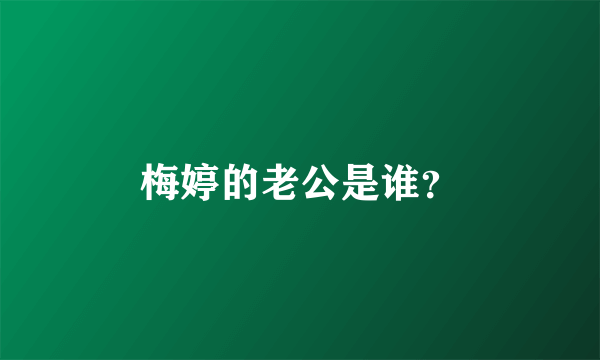 梅婷的老公是谁？