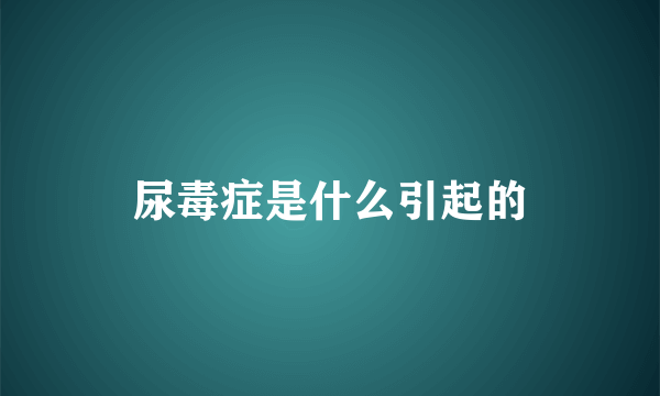 尿毒症是什么引起的