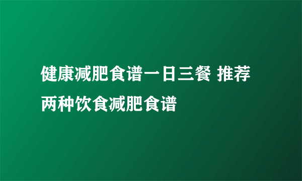 健康减肥食谱一日三餐 推荐两种饮食减肥食谱