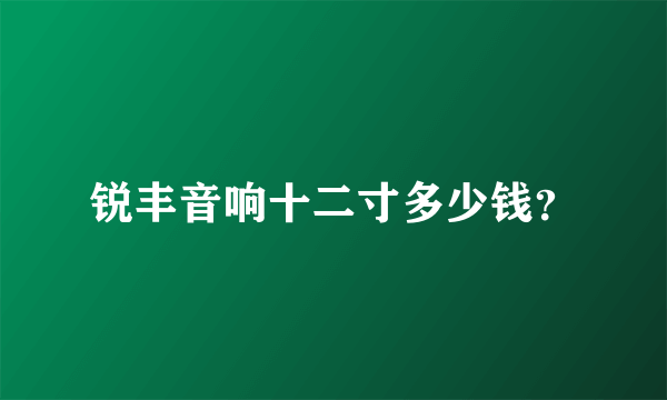 锐丰音响十二寸多少钱？