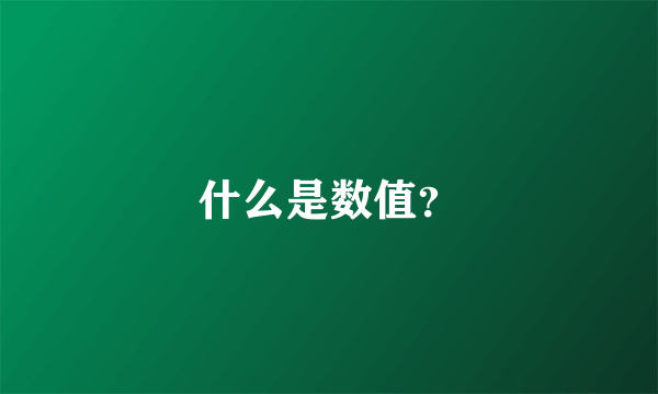 什么是数值？