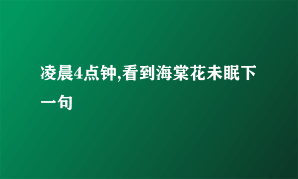 凌晨4点钟,看到海棠花未眠下一句