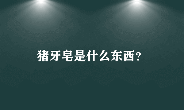 猪牙皂是什么东西？