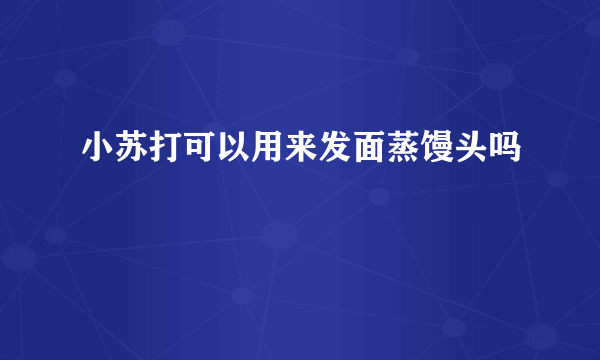 小苏打可以用来发面蒸馒头吗