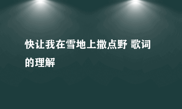 快让我在雪地上撒点野 歌词的理解