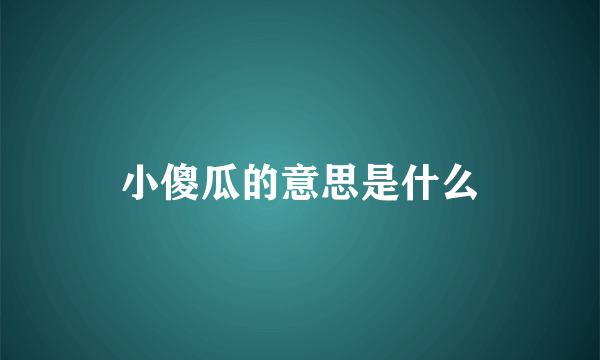 小傻瓜的意思是什么