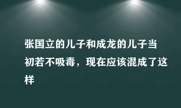 张国立的儿子和成龙的儿子当初若不吸毒，现在应该混成了这样