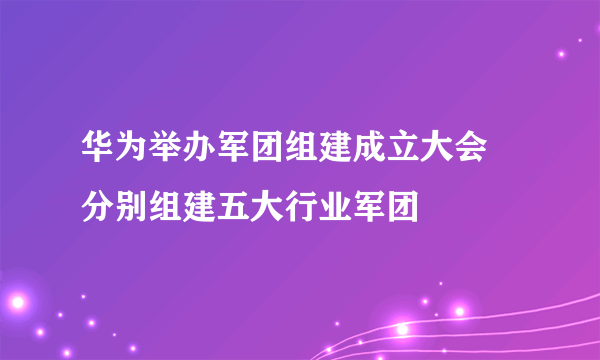 华为举办军团组建成立大会 分别组建五大行业军团