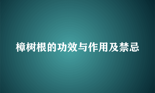 樟树根的功效与作用及禁忌