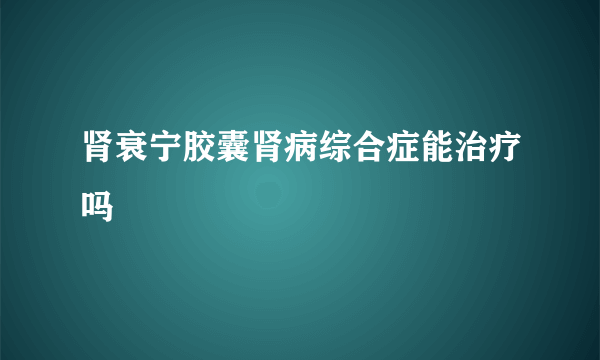 肾衰宁胶囊肾病综合症能治疗吗