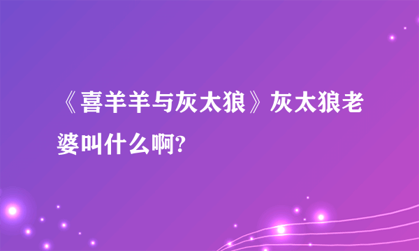 《喜羊羊与灰太狼》灰太狼老婆叫什么啊?