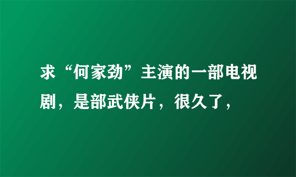 求“何家劲”主演的一部电视剧，是部武侠片，很久了，