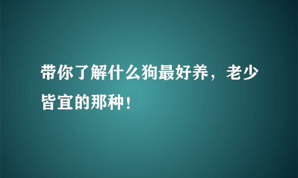 带你了解什么狗最好养，老少皆宜的那种！