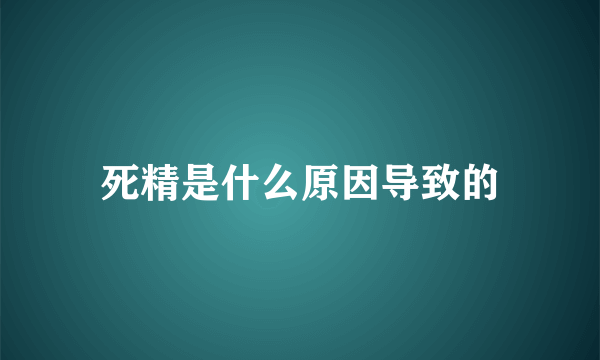 死精是什么原因导致的