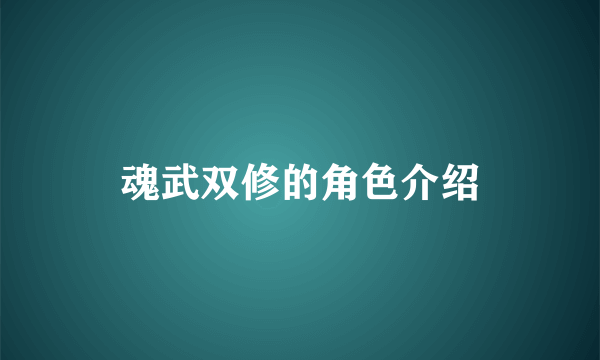 魂武双修的角色介绍