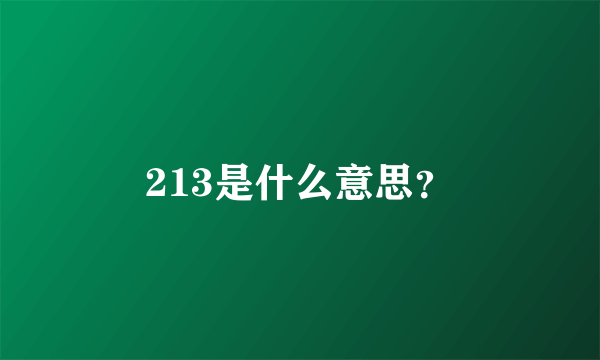 213是什么意思？