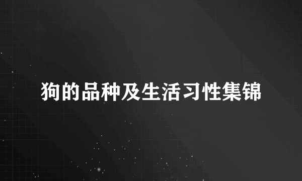 狗的品种及生活习性集锦