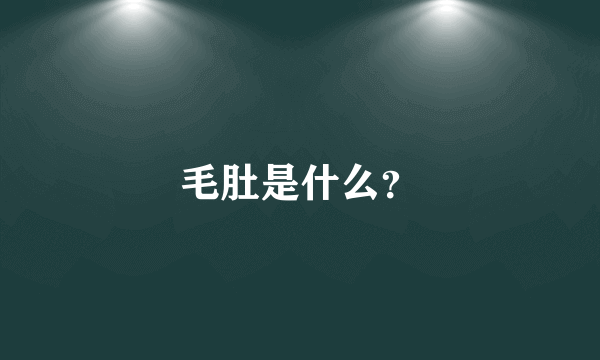 毛肚是什么？