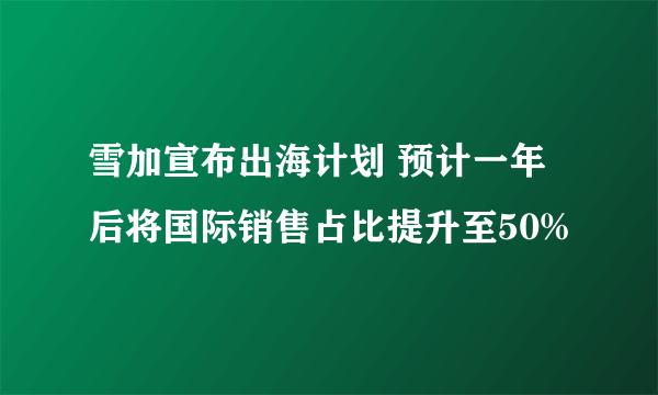 雪加宣布出海计划 预计一年后将国际销售占比提升至50%